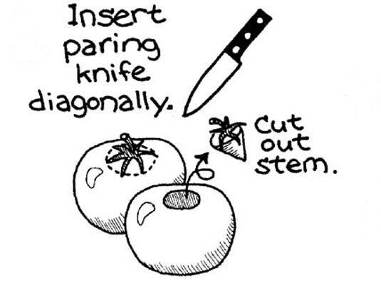 去皮、播種和切碎新鮮番茄