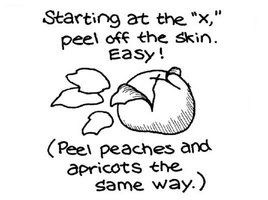 去皮、播種和切碎新鮮番茄