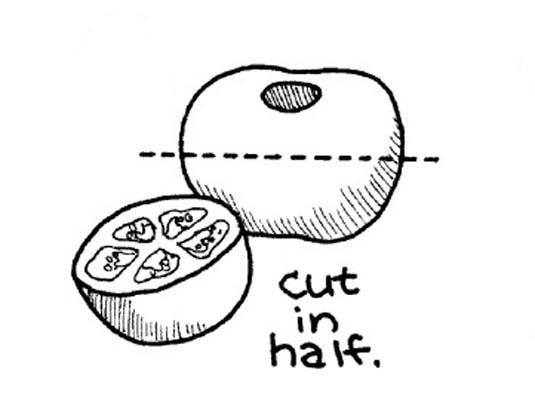 去皮、播種和切碎新鮮番茄