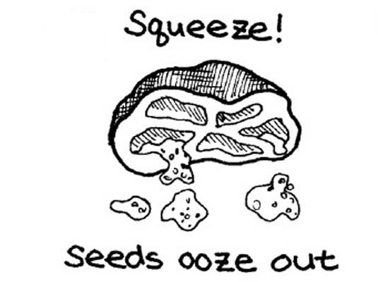 去皮、播種和切碎新鮮番茄