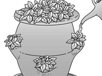 如何種植草莓盆