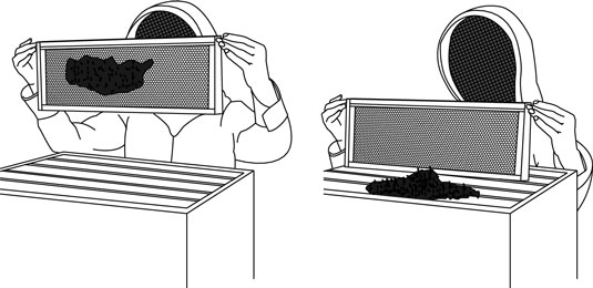 如何從蜂箱中的蜂蜜中清除蜜蜂