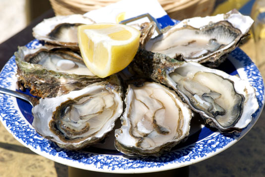 地中海飲食中的 5 種海洋生物