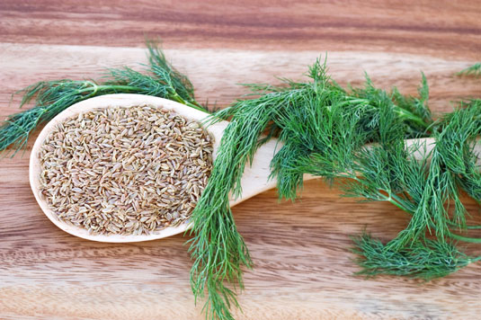 地中海風味：十大香草和香料