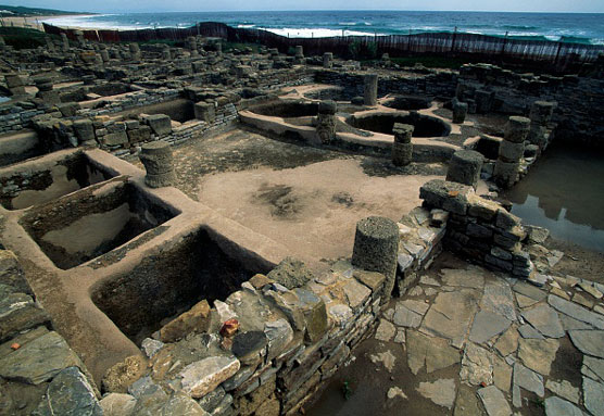 如何選擇您的熟食香料