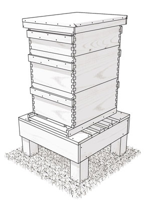 Langstroth Hive 的重要數據和材料清單