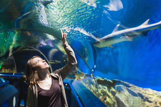 10 大公共海水水族館