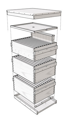 如何組裝 Langstroth Hive