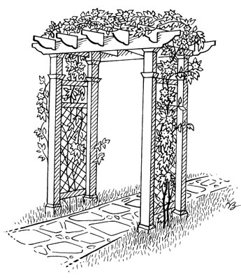 如何建造垂直花園