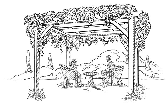如何建造垂直花園