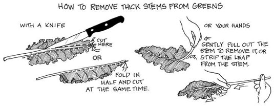 用綠色冰沙開啟美好的一天