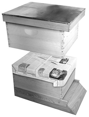 用兩個製作一個 Langstroth 蜂巢